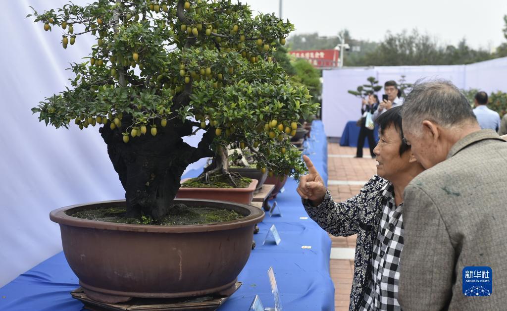 邯郸永亨娱乐